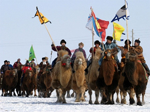 Верблюжья история (зимние монгольские праздники). Тур в Монголию
