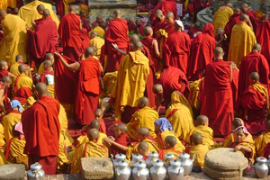 Тур в Индию. Бодхгайя, 900-летие Кармапы