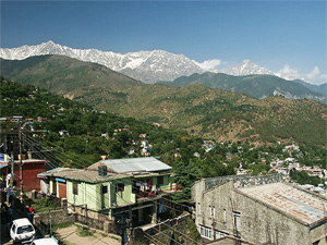Тур в Индию и Непал. Кашмир