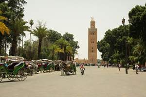Тур в Марокко. Новогоднее восхождение на Тубкаль