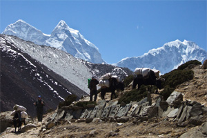 Самостоятельное путешествие в Непал
