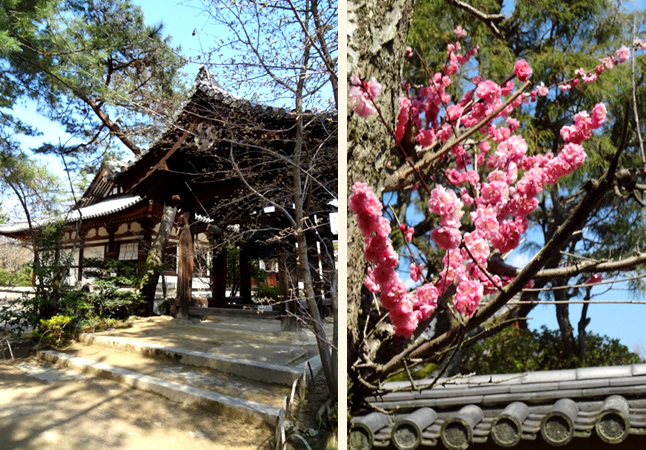 Тур в Японию. Храмовый комплекс Тосёдайдзи
