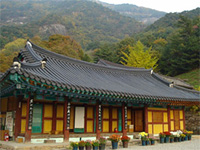 Туры в Южную Корею