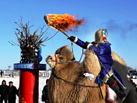 Монголия. Фестиваль верблюдов