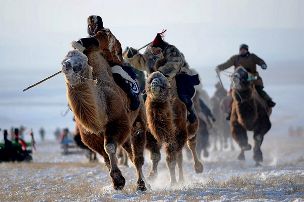 Тур в Монголию