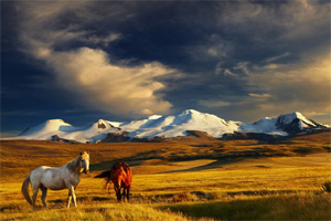 Тур в Монголию на лошадях