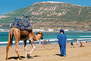 Тур в Марокко