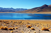 Тур в Чили. Пустыня Атакама