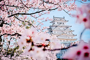 Что посмотреть в Японии за 2 недели? Авторский путеводитель